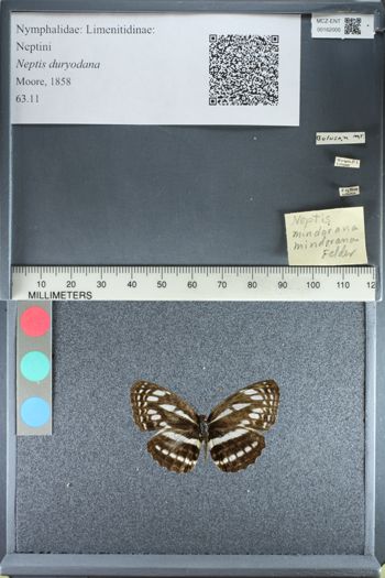 Media type: image;   Entomology 162005